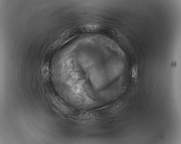 X0000111211011200907151432