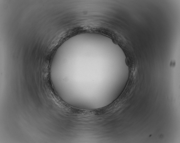 X0000111211012200907151432