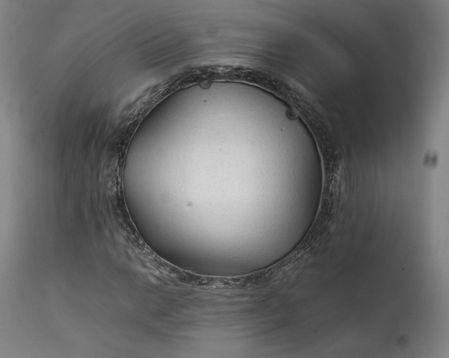 X0000111211014200907151432