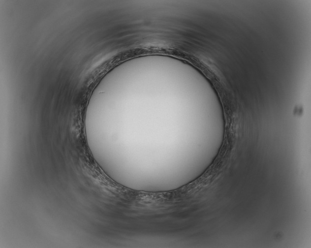 X0000111211015200907151432