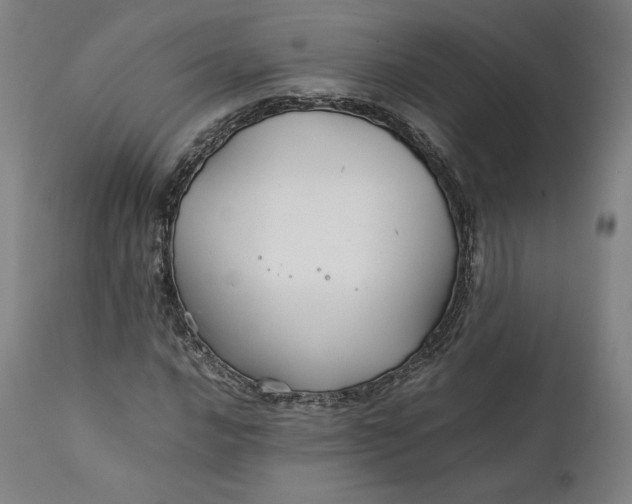 X0000111211016200907151432