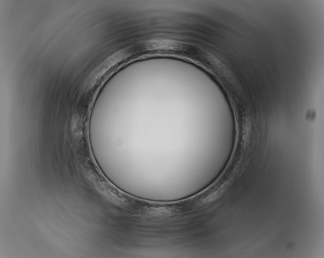 X0000111211017200907151432