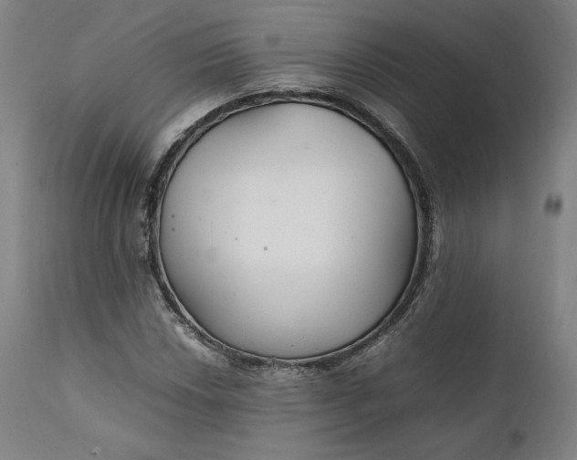 X0000111211018200907151432