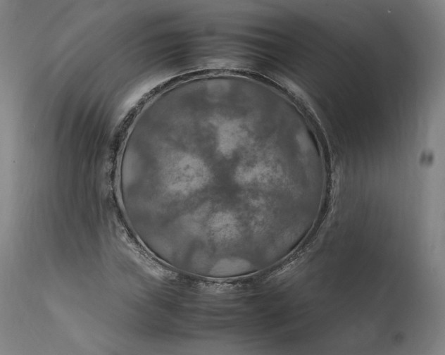 X0000111211019200907151432