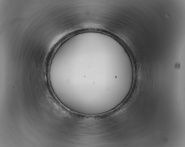 X0000111211022200907151432