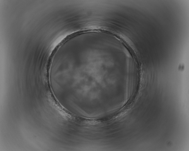 X0000111211023200907151433