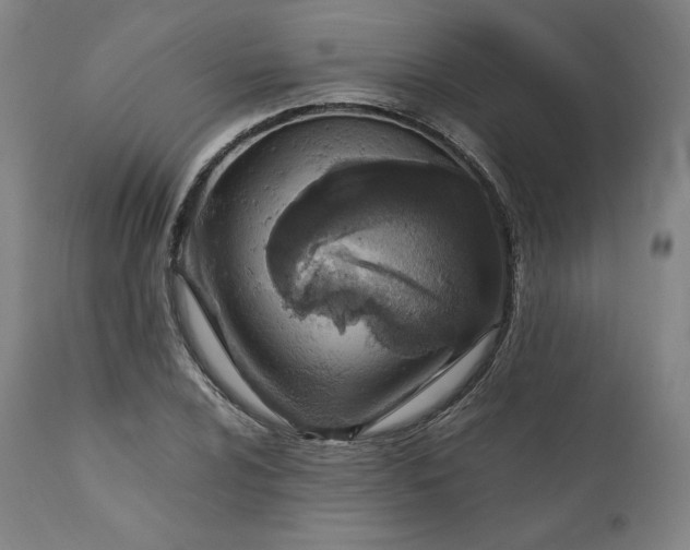 X0000111211024200907151433