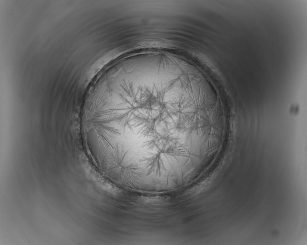 X0000111211025200907151433