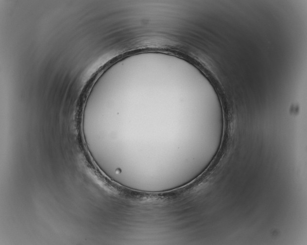 X0000111211026200907151433