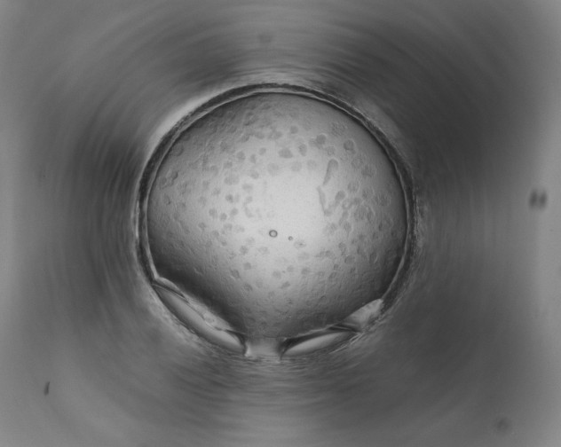 X0000111211028200907151433