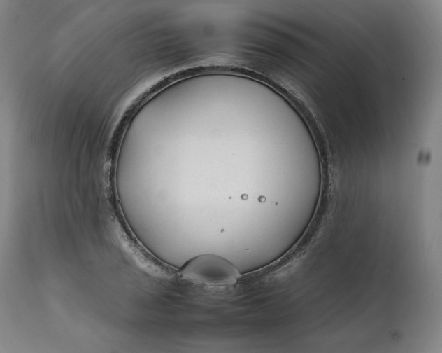 X0000111211029200907151433