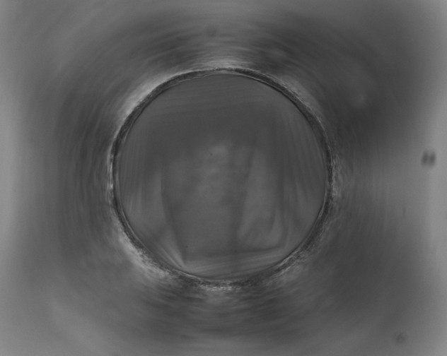 X0000111211031200907151433