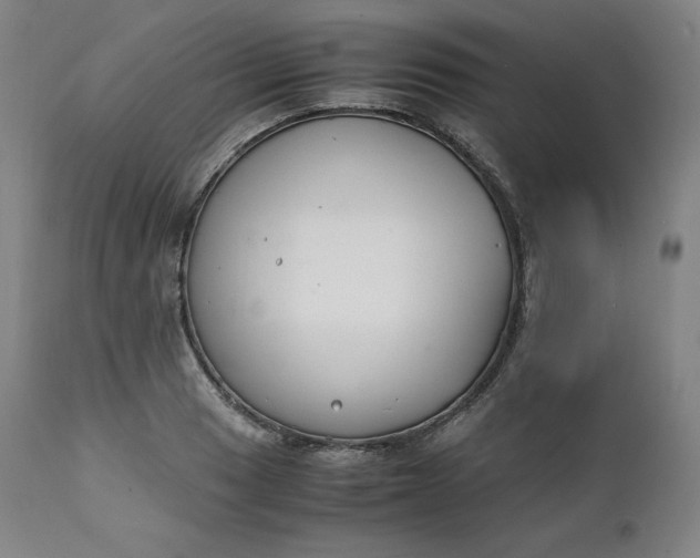 X0000111211033200907151433