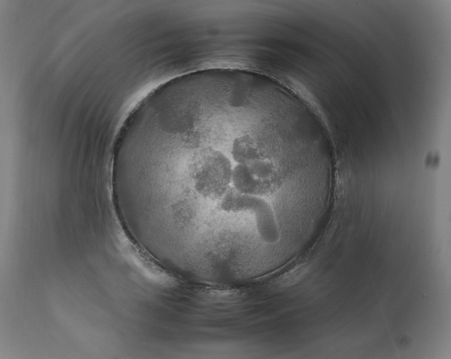 X0000111211035200907151433