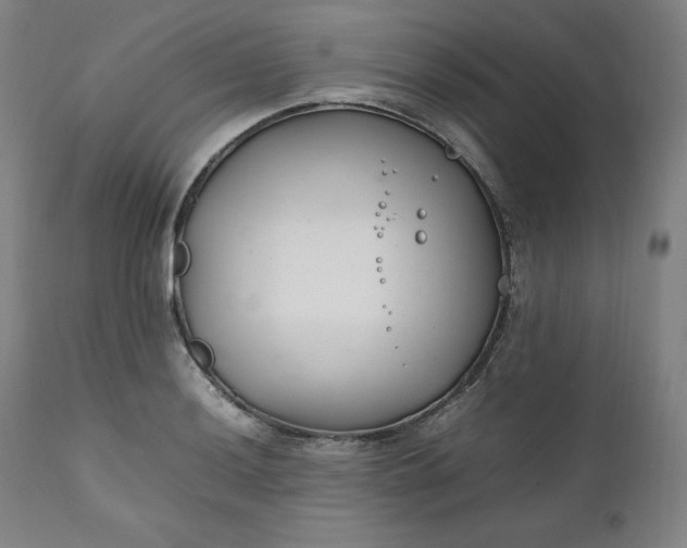 X0000111211036200907151433