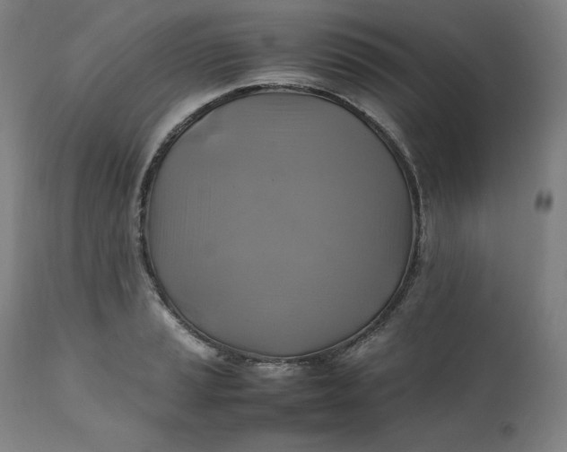 X0000111211037200907151433