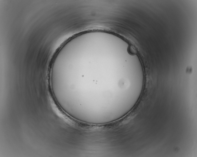 X0000111211038200907151433