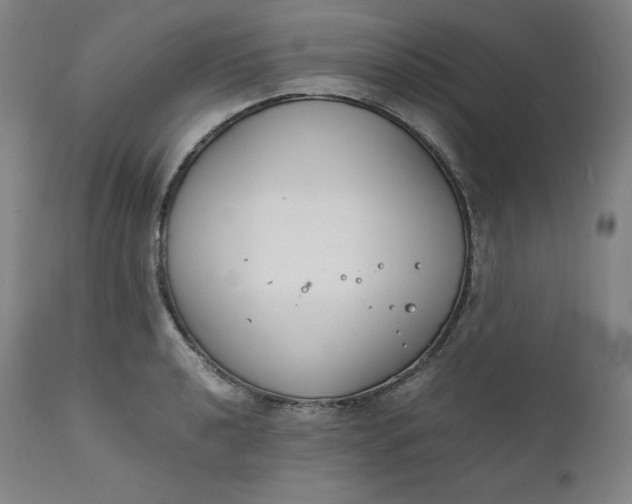 X0000111211040200907151433