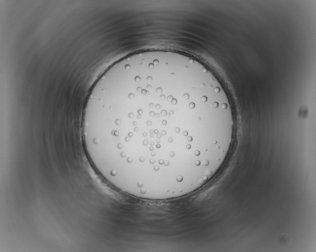 X0000111211041200907151433