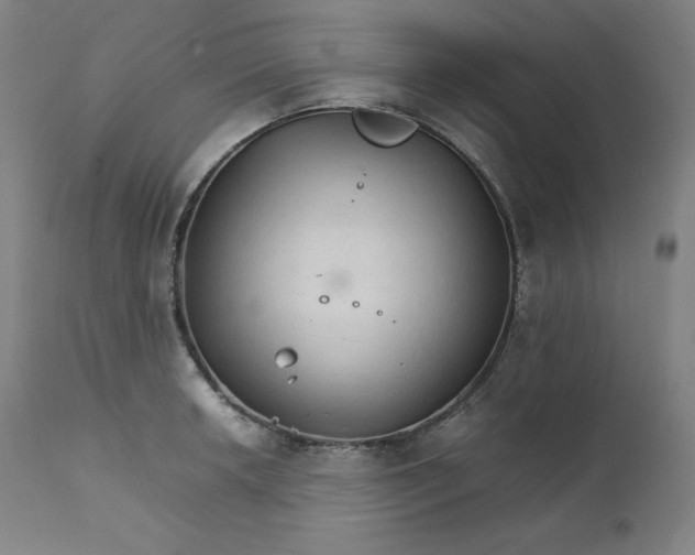 X0000111211042200907151433