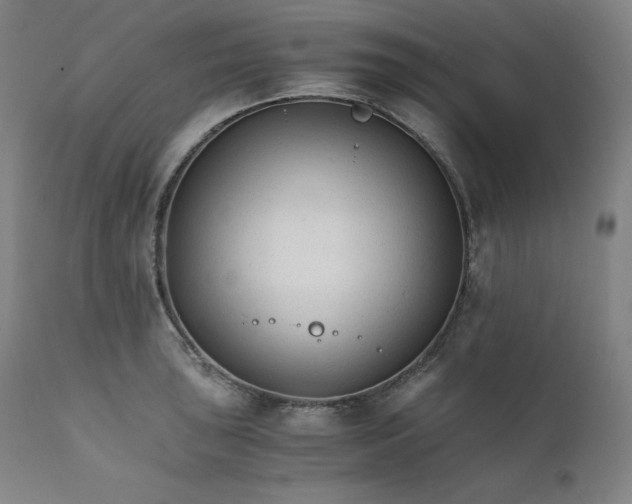 X0000111211043200907151433