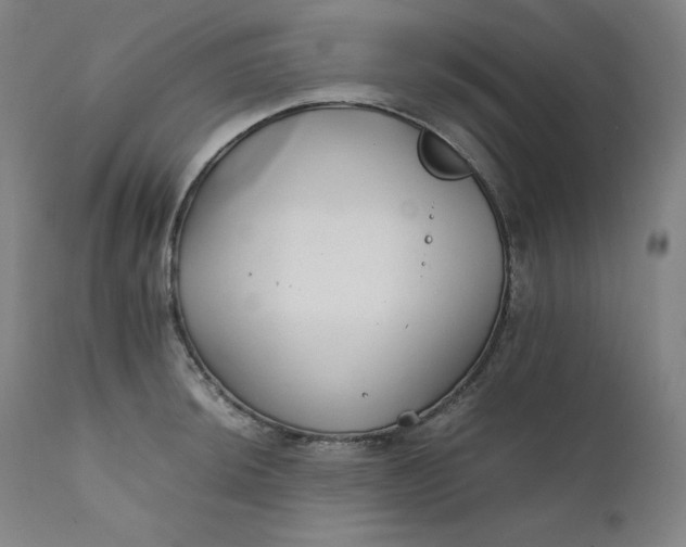 X0000111211044200907151433