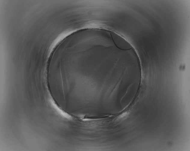 X0000111211045200907151433