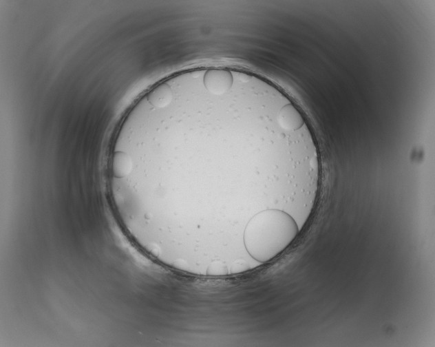 X0000111211046200907151433