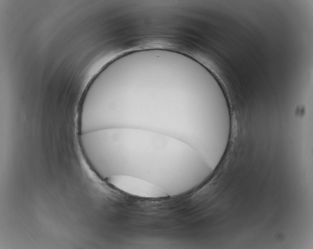 X0000111211047200907151433