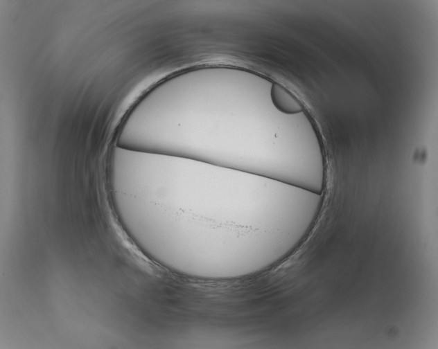 X0000111211048200907151433