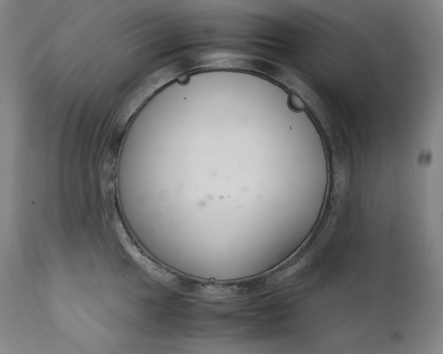 X0000111211049200907151433