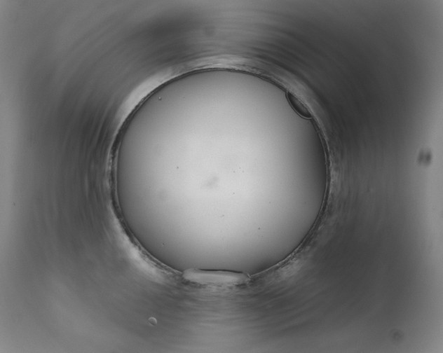 X0000111211050200907151433