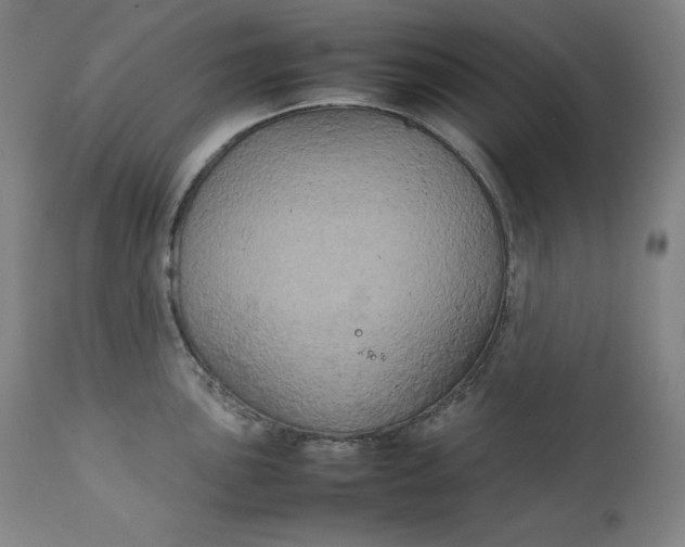 X0000111211051200907151433