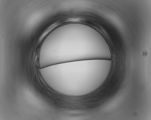 X0000111211052200907151433