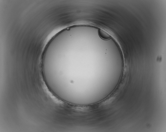 X0000111211053200907151433