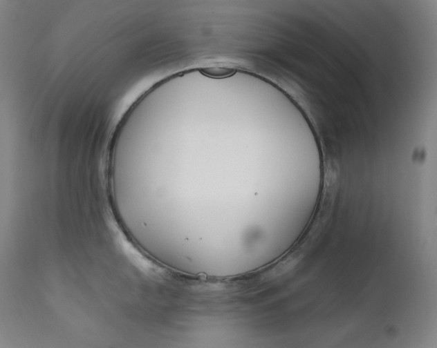 X0000111211054200907151433