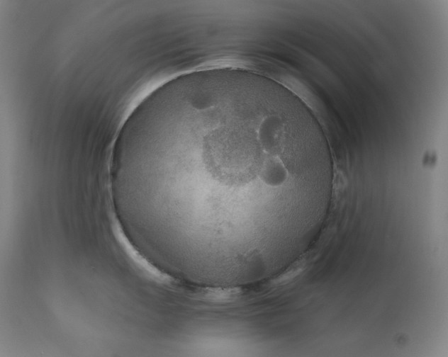 X0000111211055200907151433