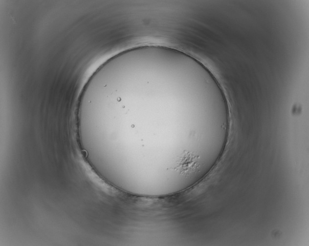 X0000111211056200907151433