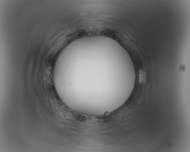 X0000111211059200907151432