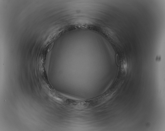 X0000111211060200907151432