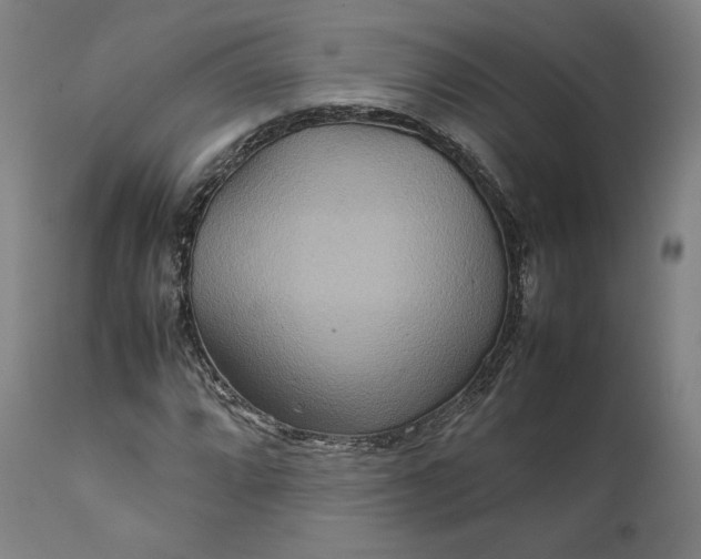 X0000111211064200907151432