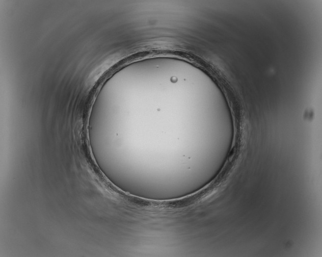 X0000111211065200907151432