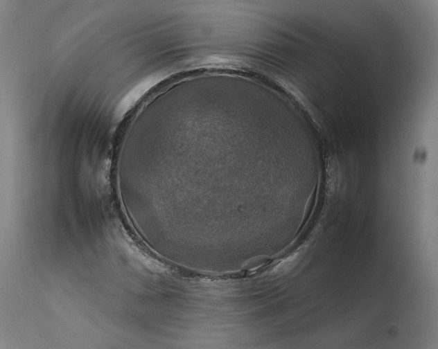 X0000111211066200907151432