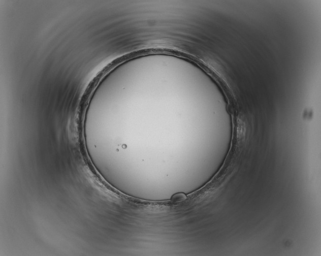 X0000111211068200907151432