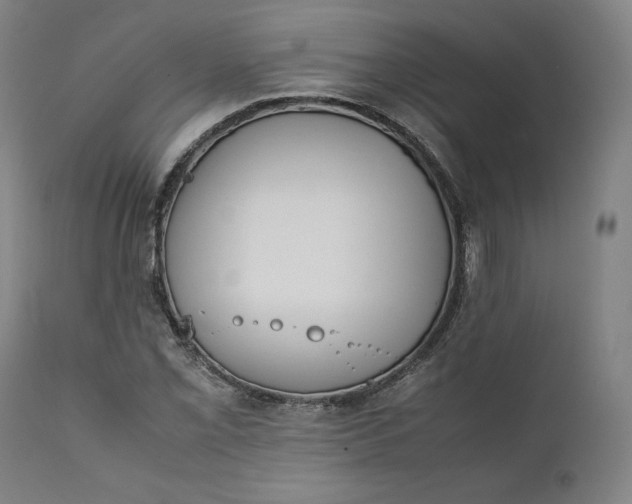 X0000111211069200907151432