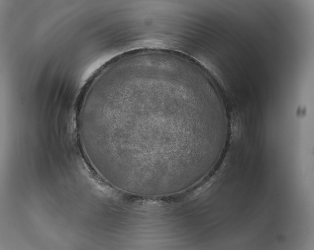 X0000111211070200907151432