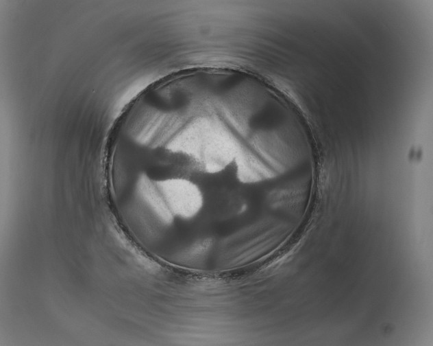 X0000111211071200907151432