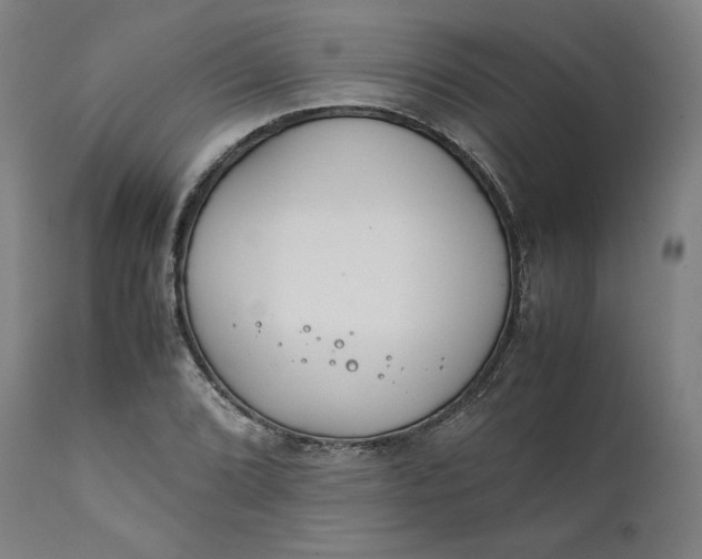 X0000111211072200907151432