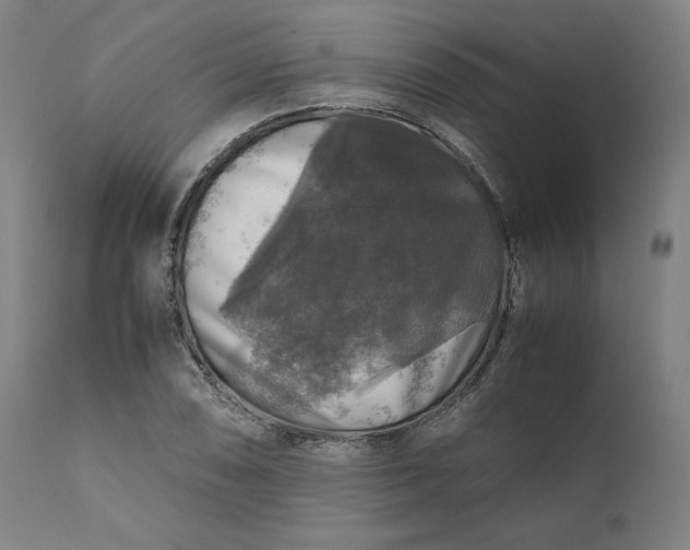 X0000111211074200907151432