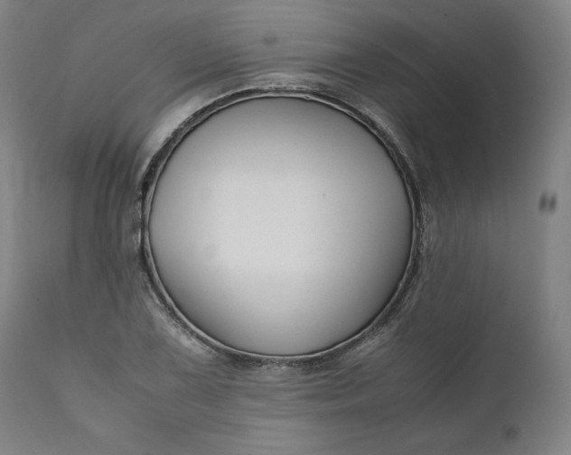 X0000111211075200907151432